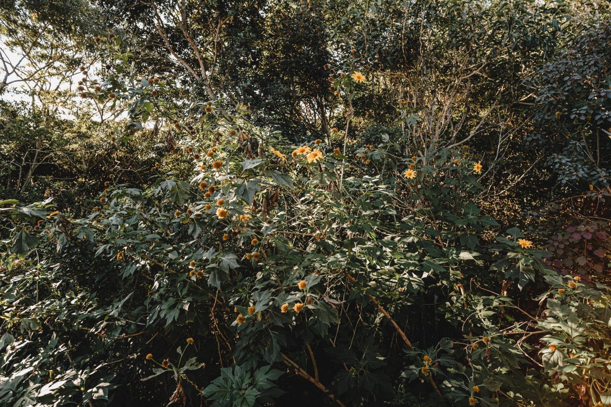 Pousada Colina Verde กาโรปาบา ภายนอก รูปภาพ